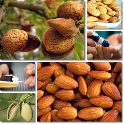 Almonds and diabetes