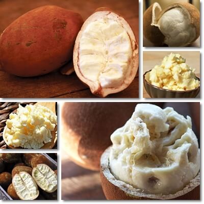 Cupuacu butter benefits for skin