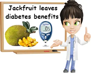 Jackfruit leaves diabetes benefits