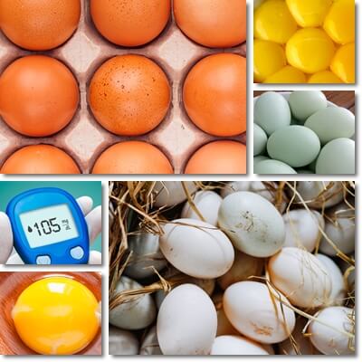 Eggs glycemic index