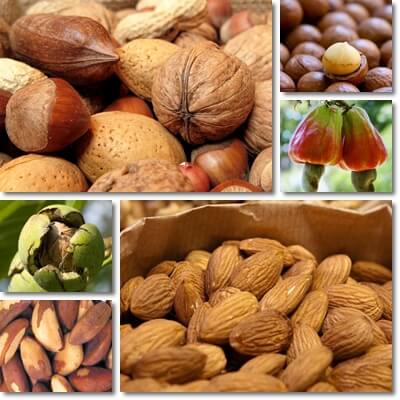 Nuts Glycemic Index Chart