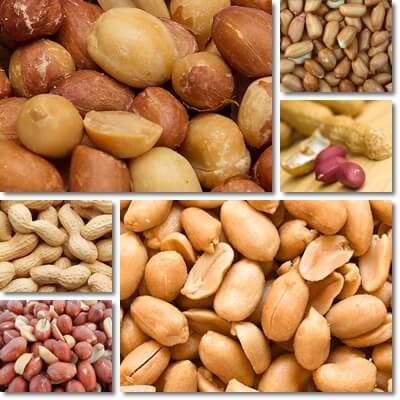 Peanuts glycemic index