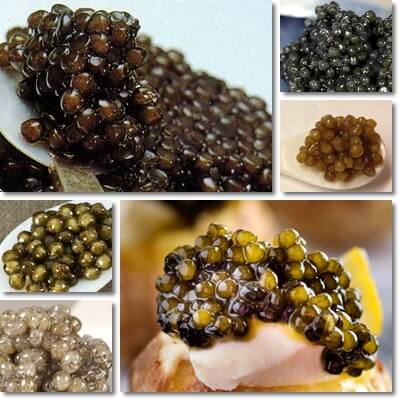 Caviar benefits