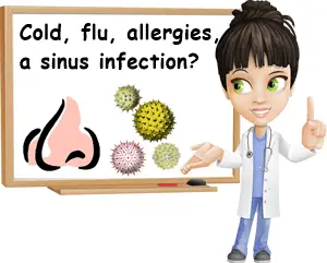 Cold flu allergies or sinus infection