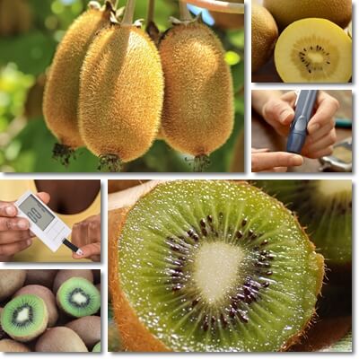 Kiwifruit and diabetes