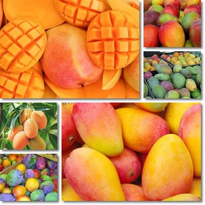 Mango glycemic index