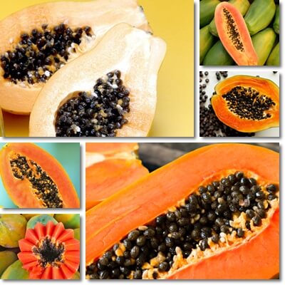 Papaya glycemic index