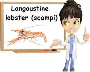 Langoustine lobster scampi