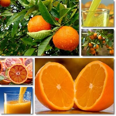 Orange juice gastritis