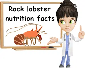 Rock lobster nutrition facts