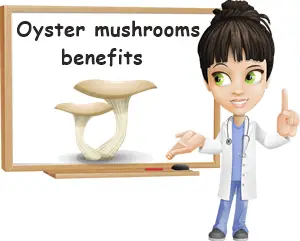 Oyster mushrooms benefits