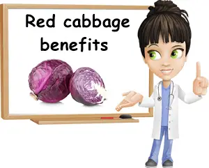 Red cabbage benefits