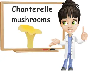 Chanterelle mushrooms benefits