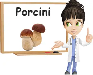 Porcini mushrooms benefits