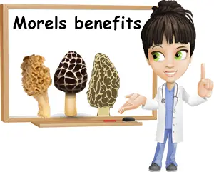 Morels benefits