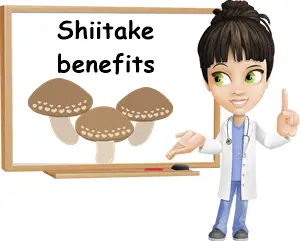 Shiitake benefits