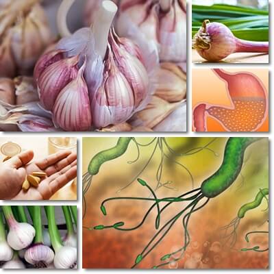 Garlic gastritis