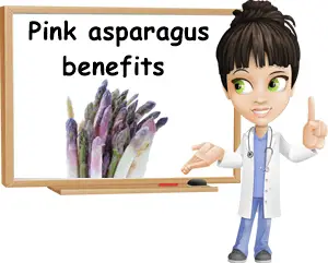 Pink asparagus benefits