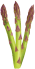 Purple asparagus