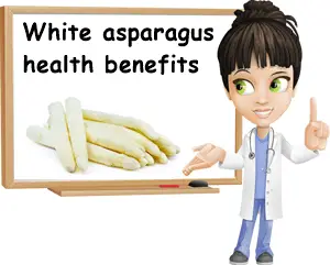 White asparagus health benefits