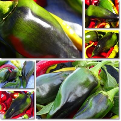 Black bell peppers