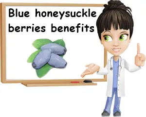 Blue honeysuckle berries benefits