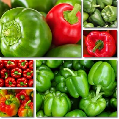 Green vs red bell peppers