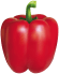 Red bell pepper