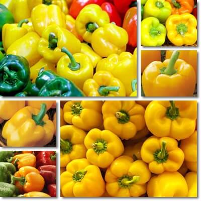 Yellow bell peppers