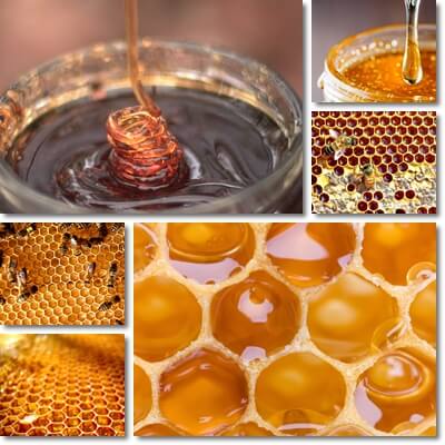 Comb honey benefits