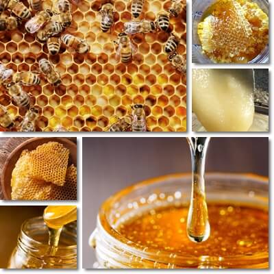 Honey facts and myths