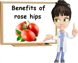 Benefits of rose hip