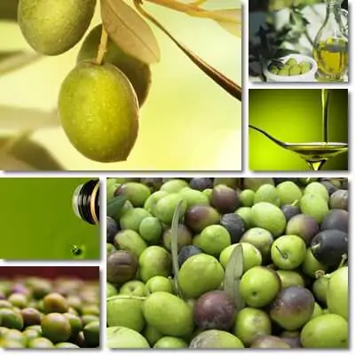 Extra virgin olive oil versus olive oil