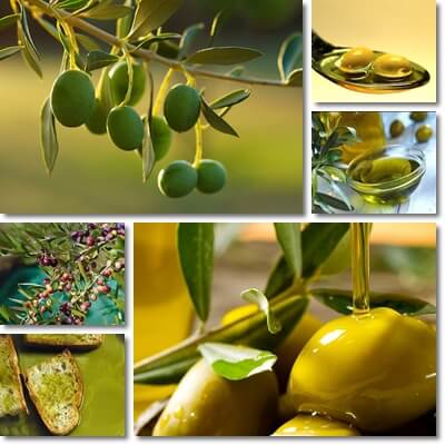 Olive oil types