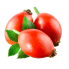 Rose hip fruit