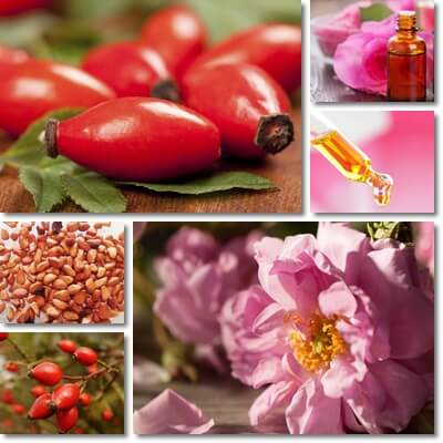 Rose hip oil versus rose oil