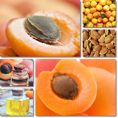 Apricot kernel oil