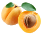 Apricot oil