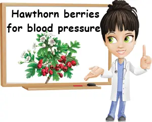 Hawthorn berry for blood pressure