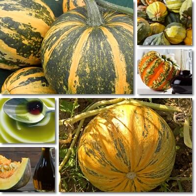 Pumpkin seed oil benefits