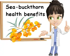 Sea-buckthorn benefits