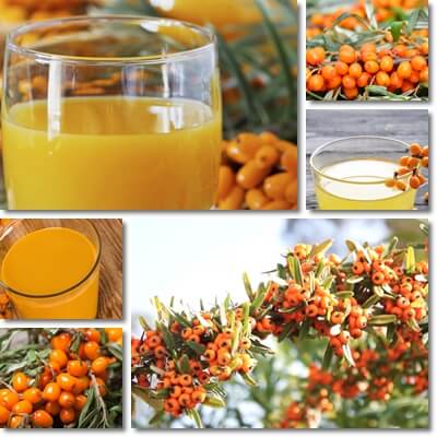 Sea-buckthorn juice