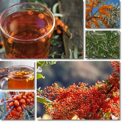 Sea-buckthorn tea