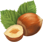 Hazelnut