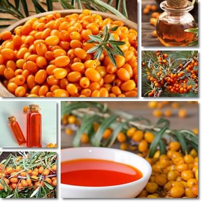 Sea-buckthorn berry oil