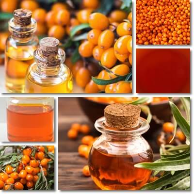 Sea-buckthorn seed vs berry oil