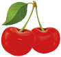 Amarelle cherry
