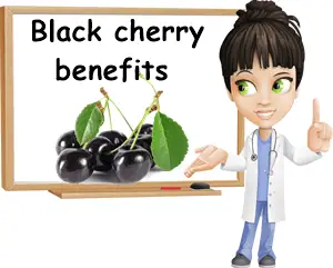 Black cherry benefits and side effects