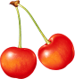 Rainier cherry