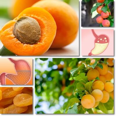 Apricots and acid reflux